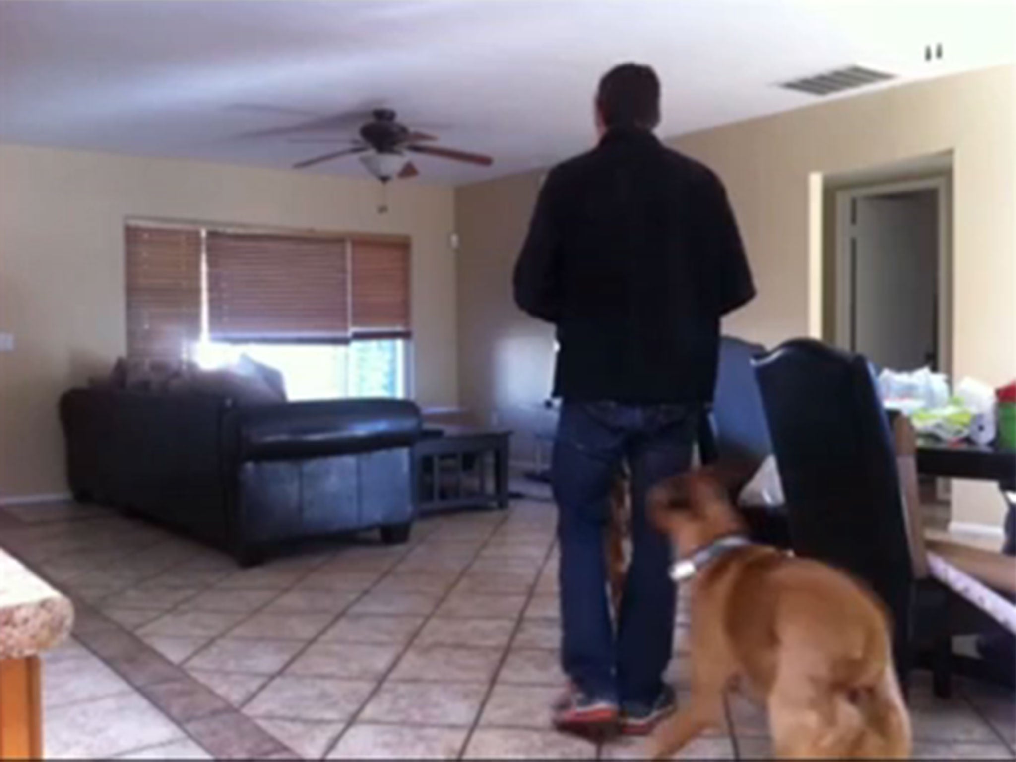 The home owner contacted the police as soon as she saw the intruder via her puppy cam