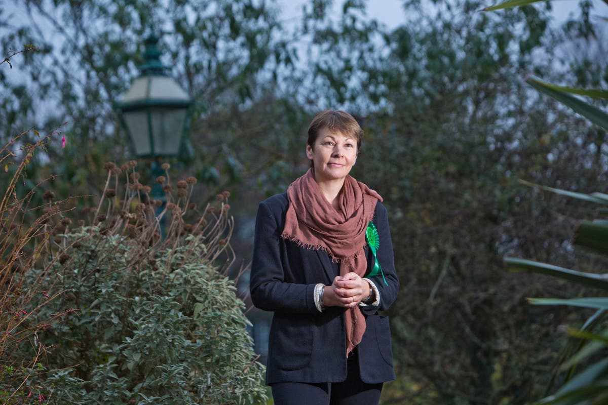 Caroline Lucas: The Green Party's first MP on getting arrested, the ...