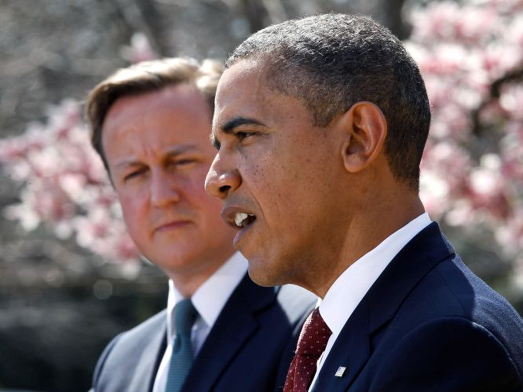 David Cameron and Barack Obama meet in Washington this week (Getty)