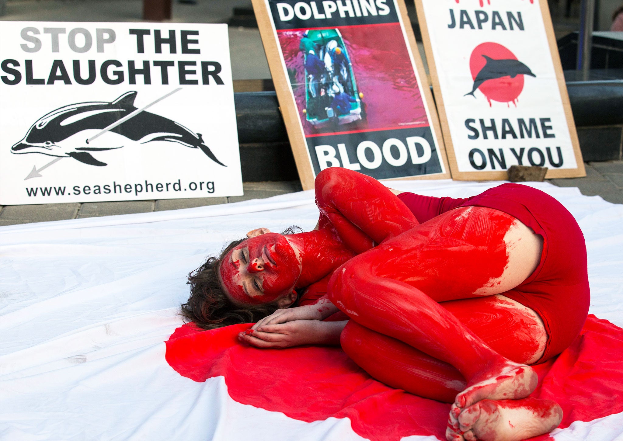 A member of the 'Taiji Dolphin Action Group', curls up on a sheet depicting the Japanese flag
