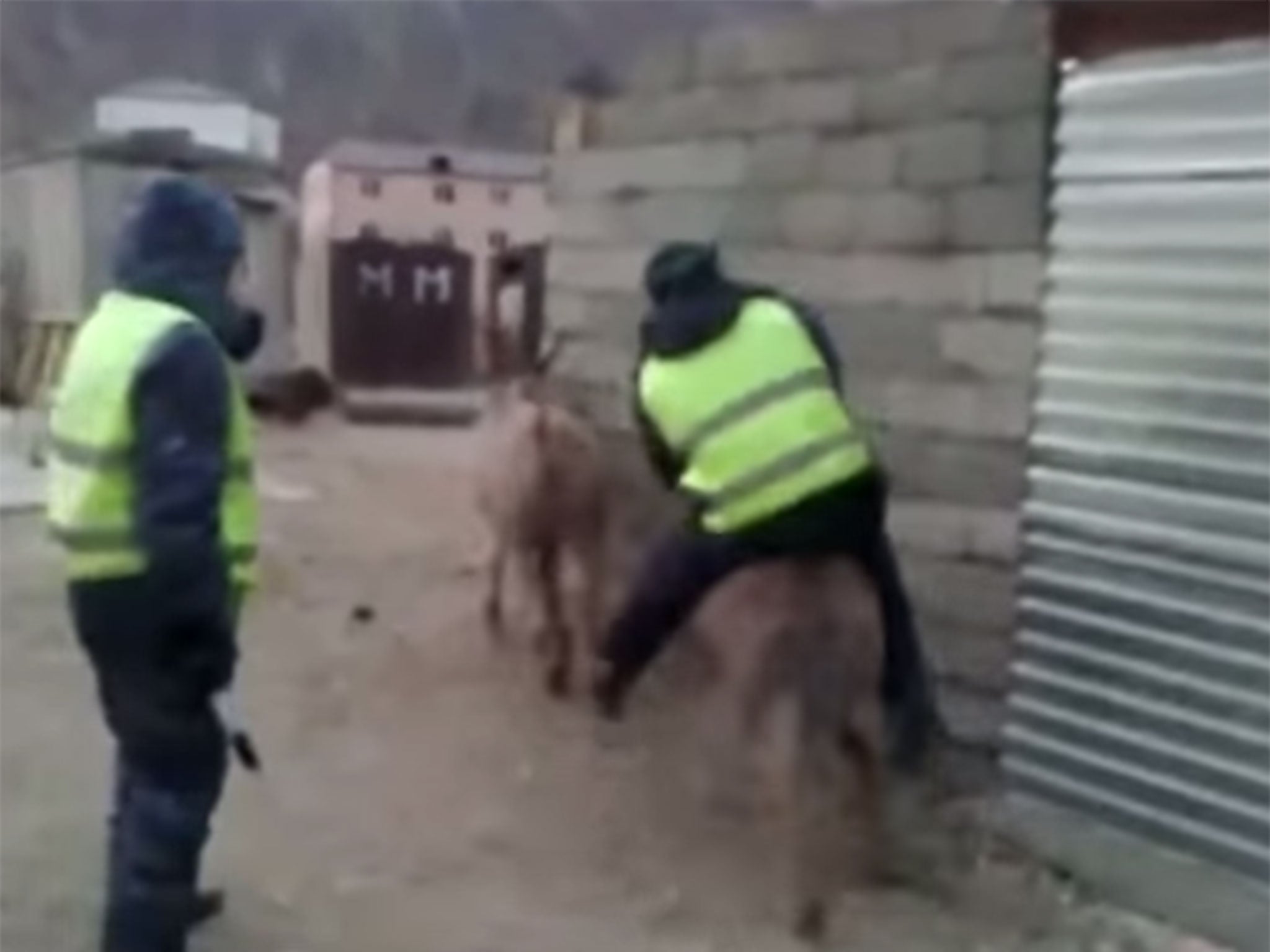 The hilarious video came from police officers in Republic of Dagestan