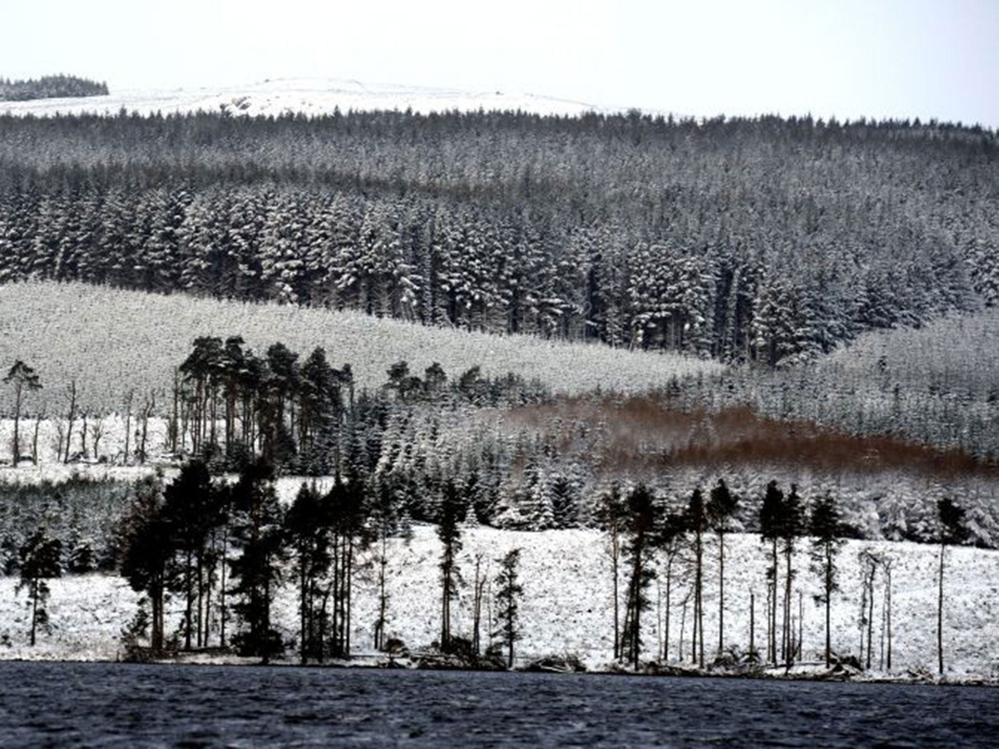 Snow falls at the Catcleugh Reservoir near Kielder in Northumberland on 11 January