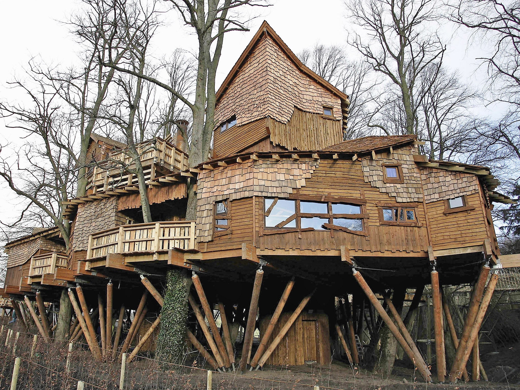 The treehouse at Alnwick Garden is built between 16 giant lime trees and towers 60ft in the air