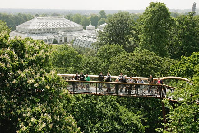 The Treetop Walkway at Kew Gardens
