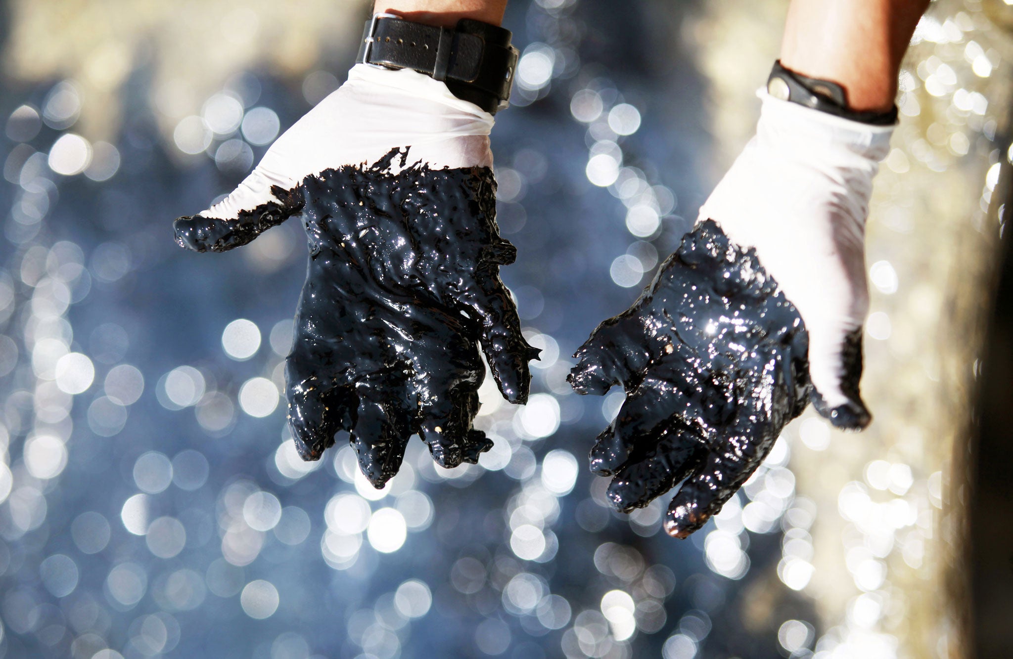 Oil covers the hands of a worker at the site of a spill in Cyprus
