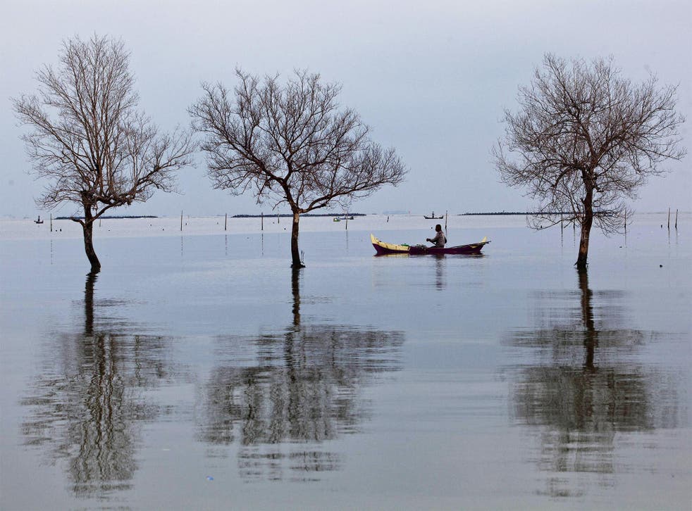 A fisherman passes near dead trees standing in flood waters from rising sea levels in Bedono, Indonesia. Sea levels are thought to be rising more quickly than originally predicted