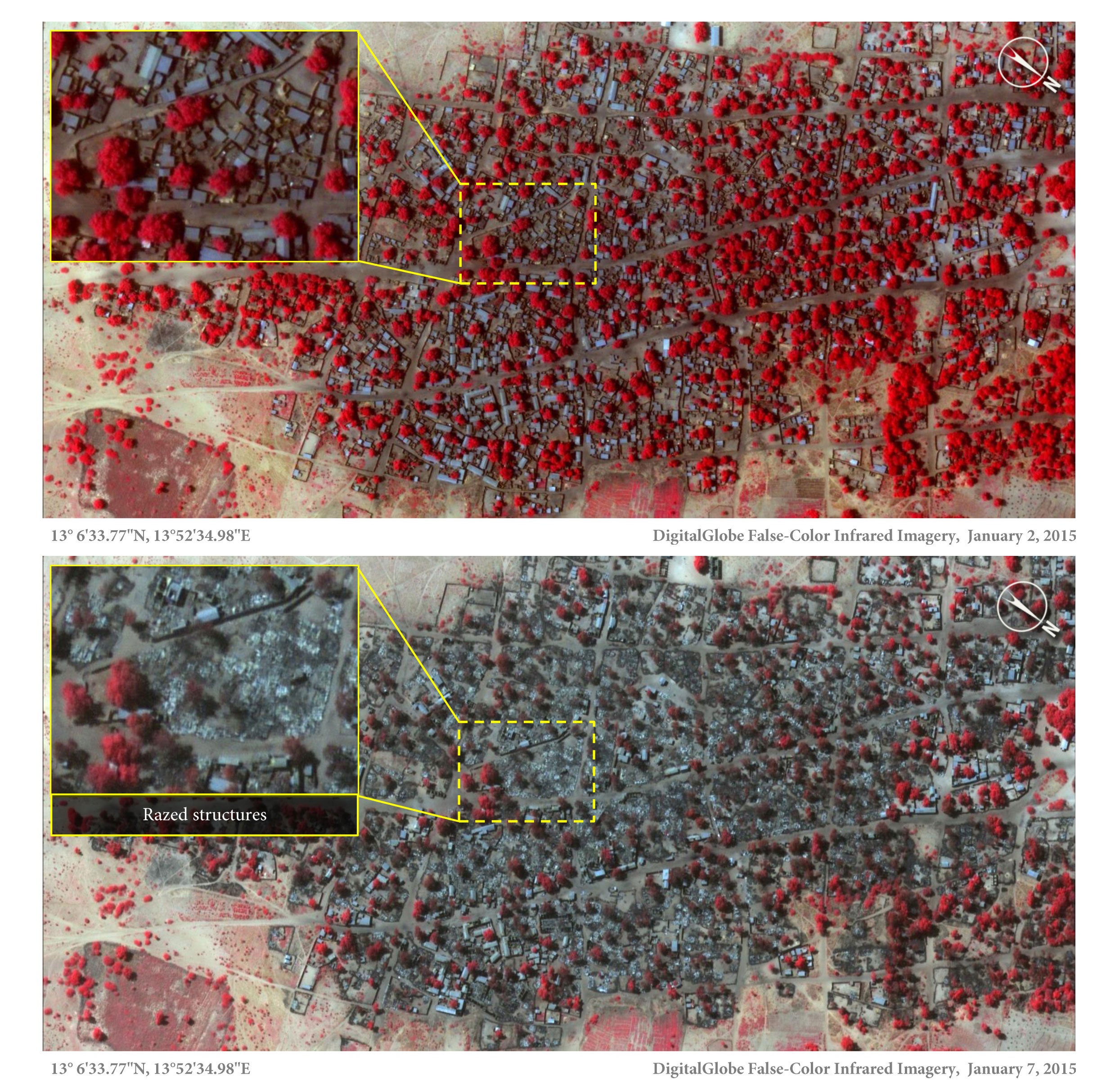 Satellite image Doro Baga, before and after attacks. The red areas indicate healthy vegetation.
