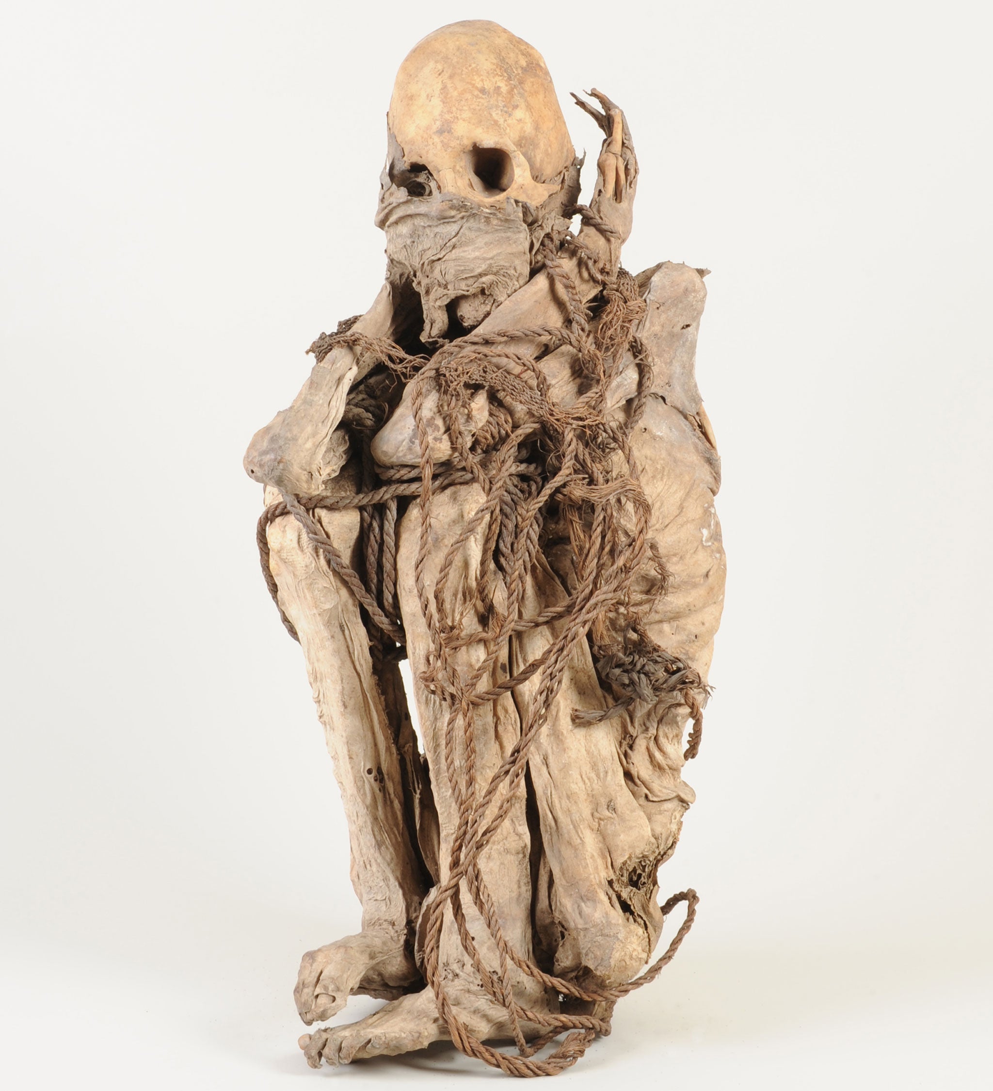 This Peruvian mummy is one of the more diverse exhibits