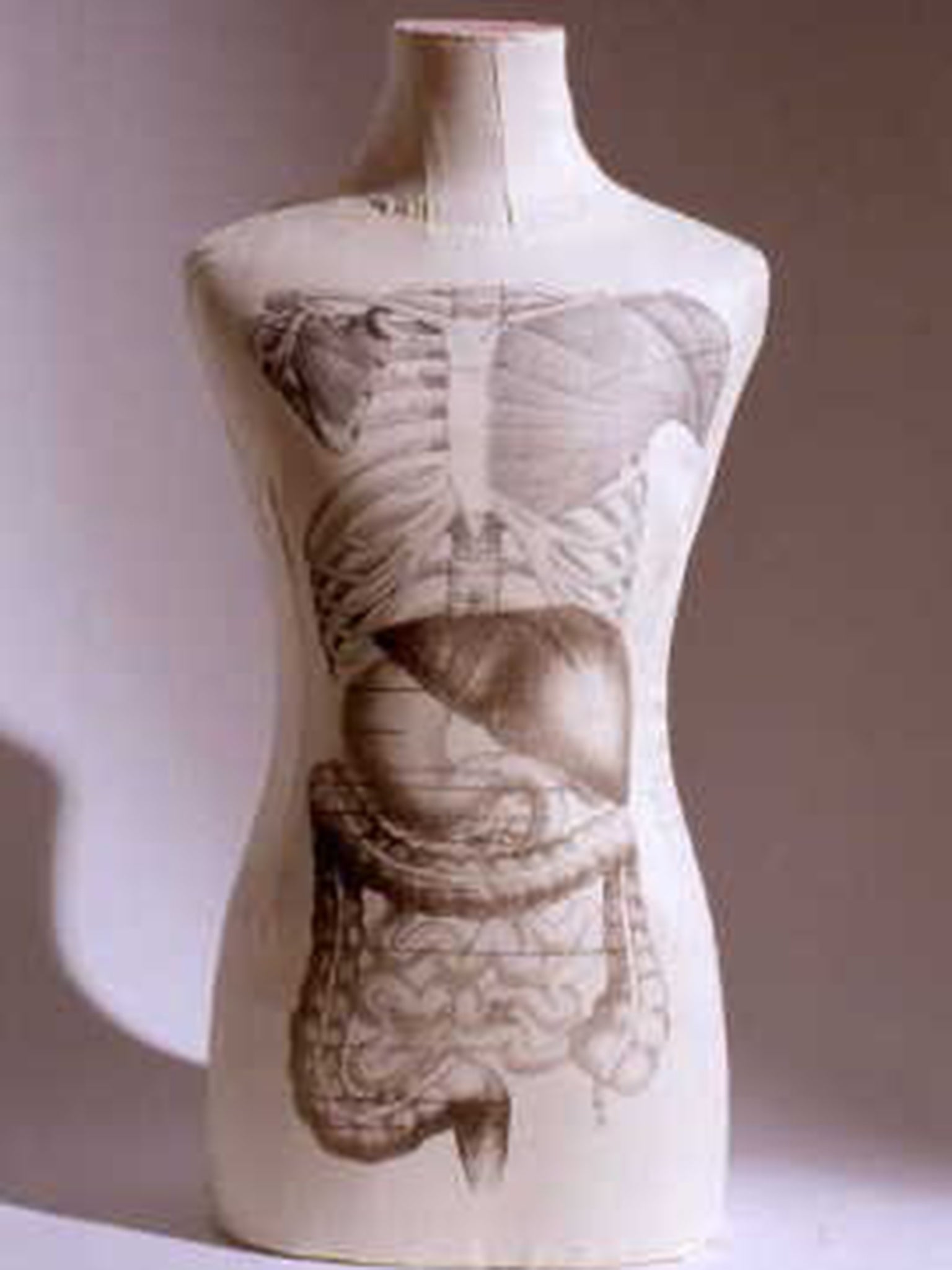‘Anatomy Lesson’ (lithograph on textile with dressmaker’s dummy) by Carole Hensher