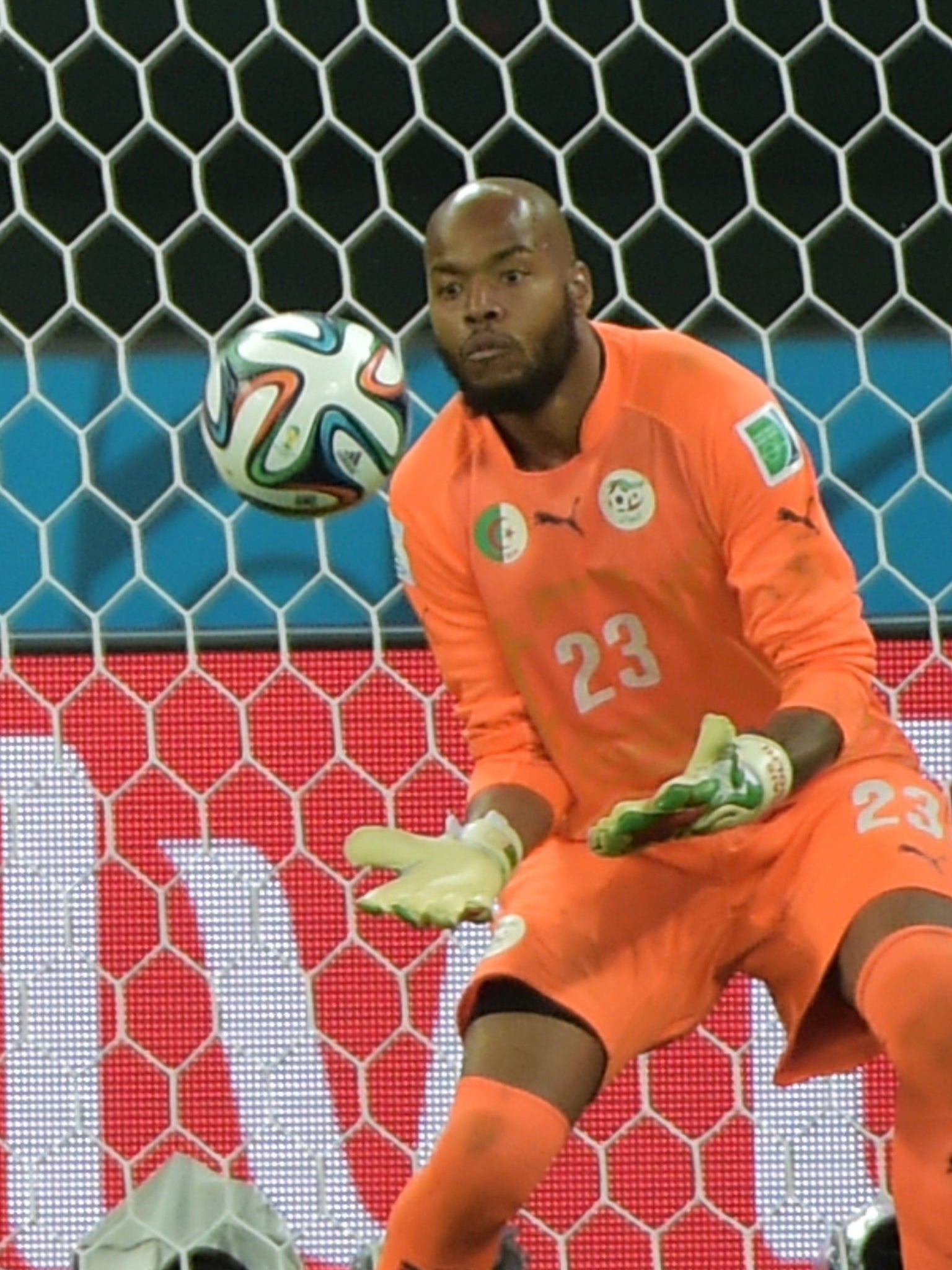 Raïs M’Bolhi, of Algeria, made his mark at the World Cup and is likely to be the best goalkeeper at the African Cup of Nations