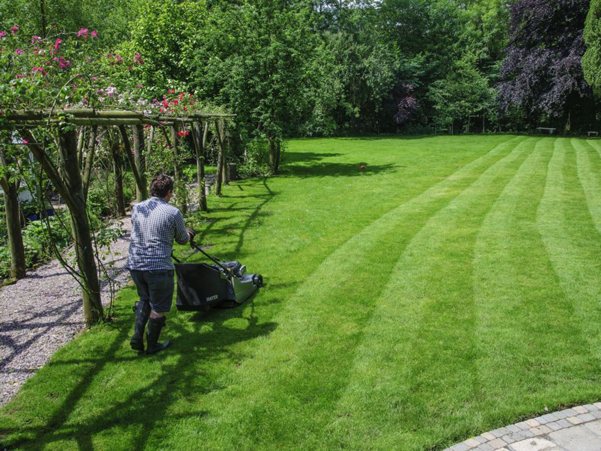 Once the energy expended by mowing, fertiliser use and watering are taken into account, lawns actually produce more greenhouse gases than they soak up (Rex)