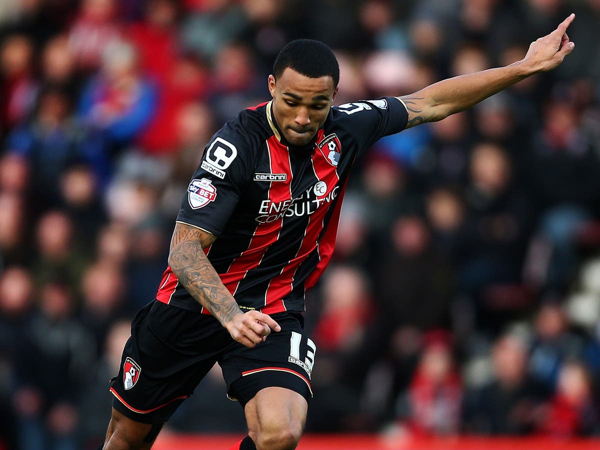 Round-up: Callum Wilson seals victory for Championship leaders ...