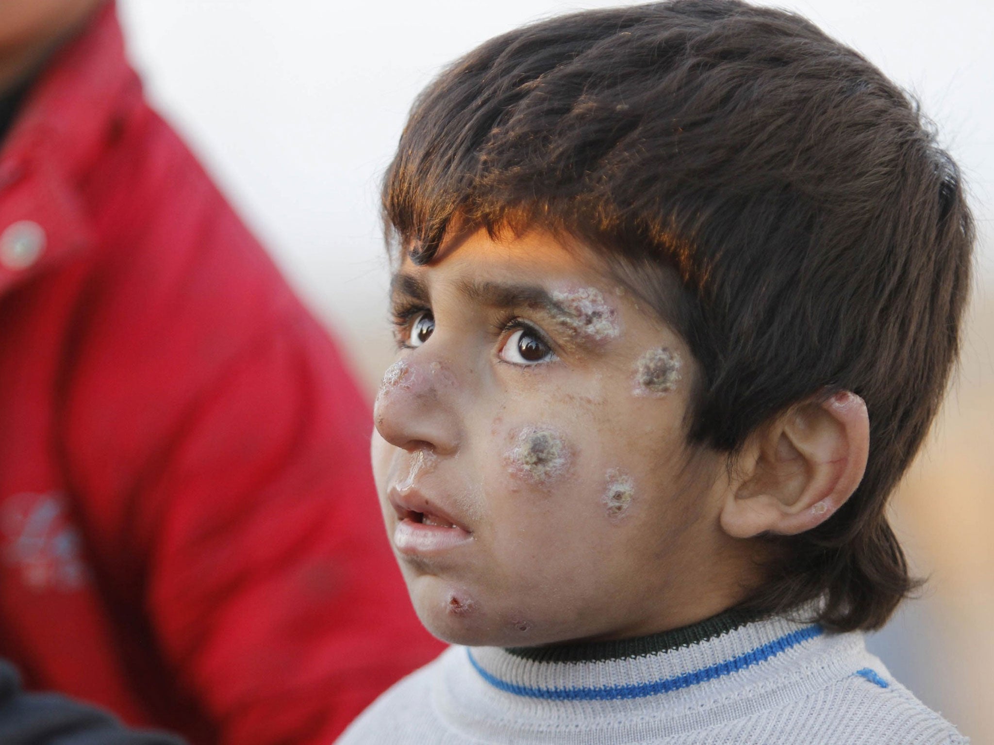 A boy from the minority Yazidi sect looks on in the outskirts of Kirkuk, January 17, 2015 (Reuters)