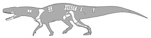 A reconstruction of the Nundasuchus, a 9-foot-long carnivorous reptile with steak knife-like teeth
