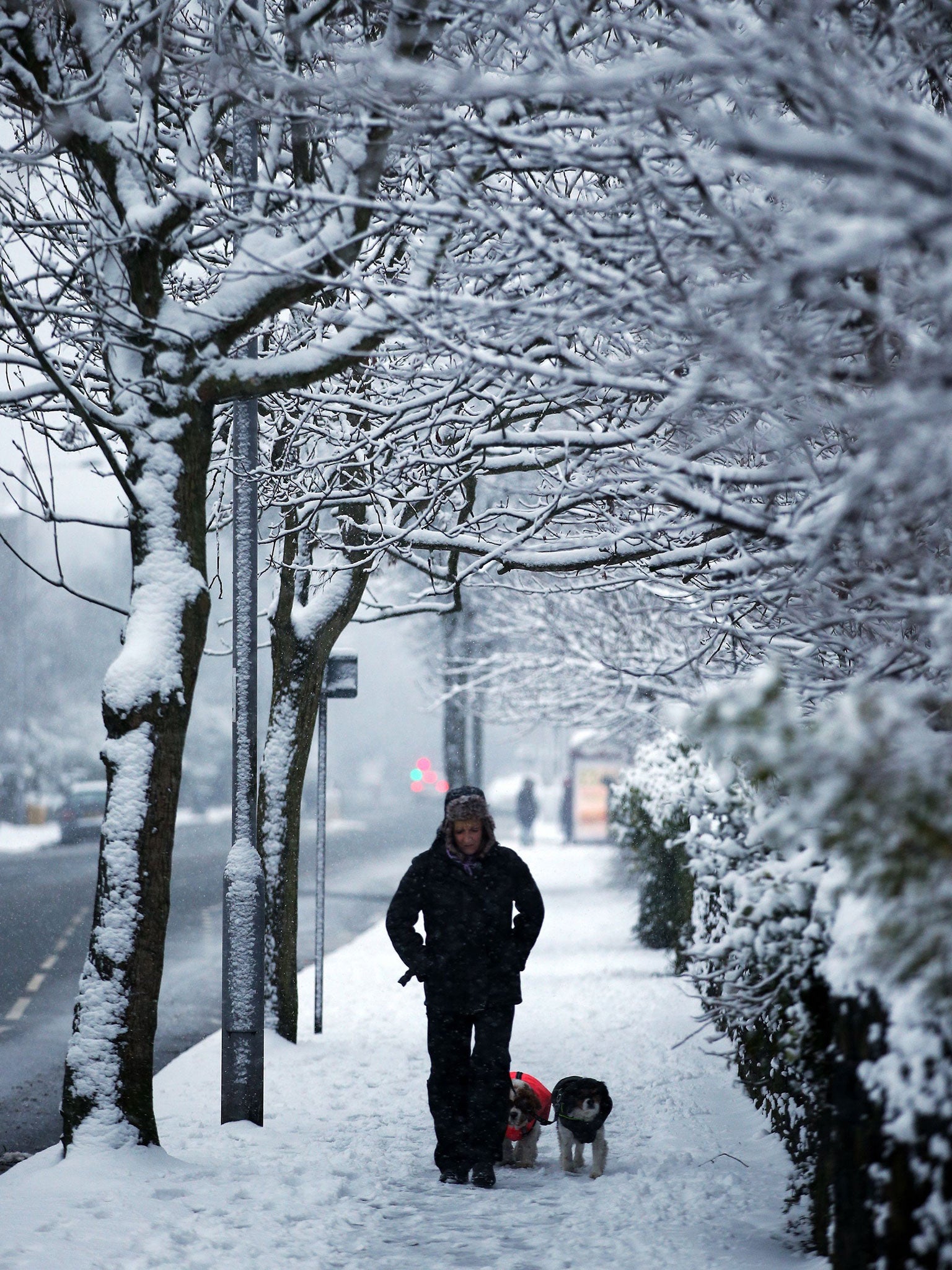 Dogs are walked in the early morning snow in Bradford.