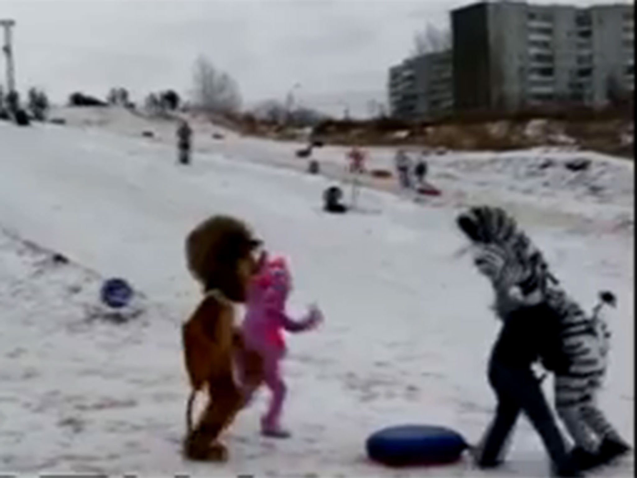 All three men in costumes apprehended Vagin after he baganpushing Marty the Zebra