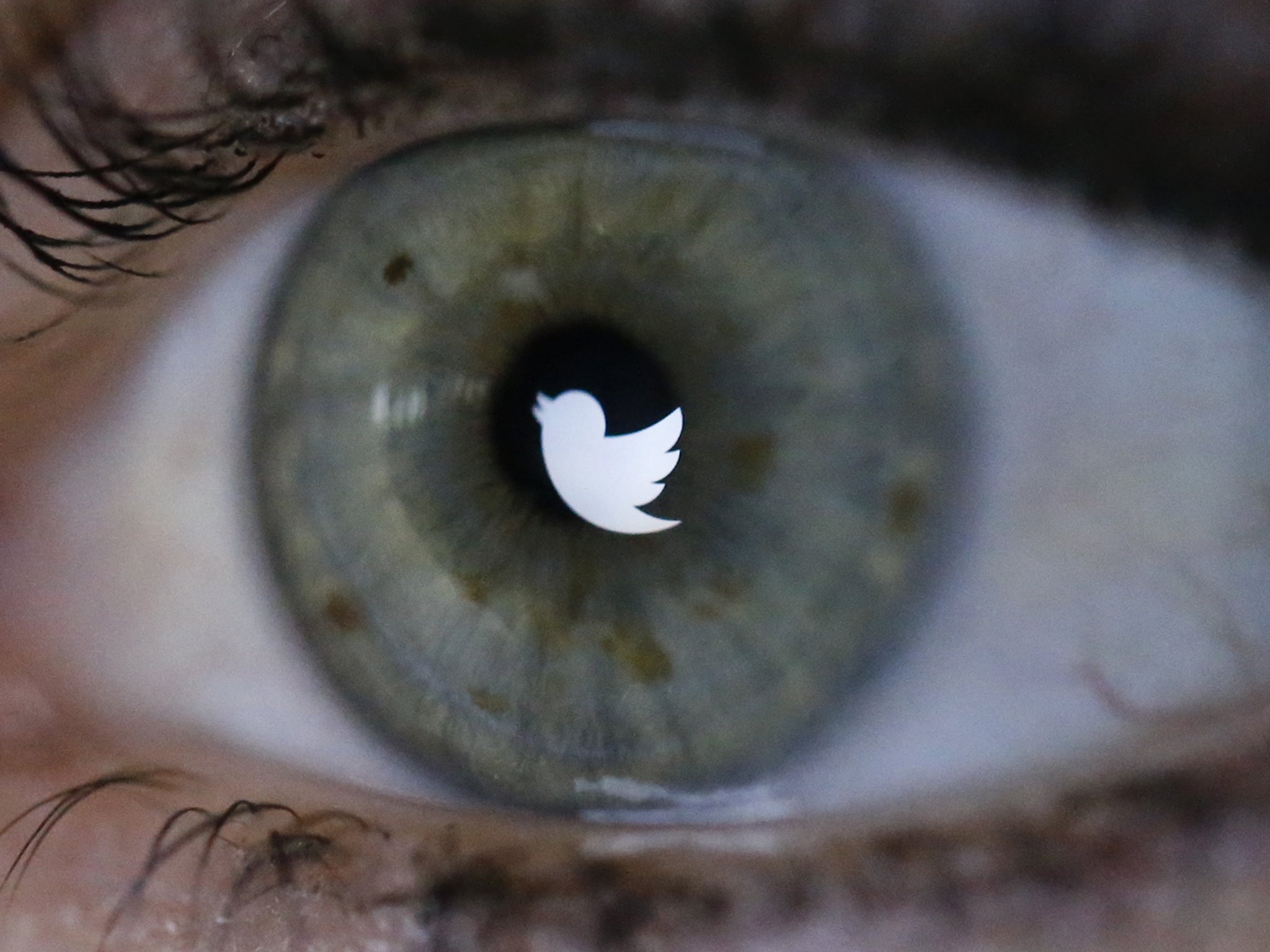 An illustration picture shows the Twitter logo reflected in the eye of a woman in Berlin, November 7, 2013