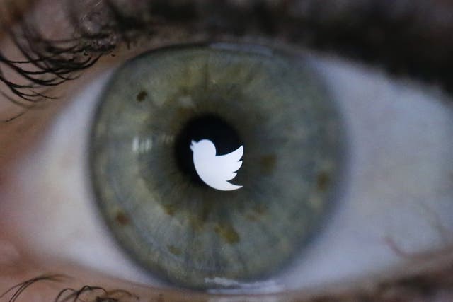 An illustration picture shows the Twitter logo reflected in the eye of a woman in Berlin, November 7, 2013