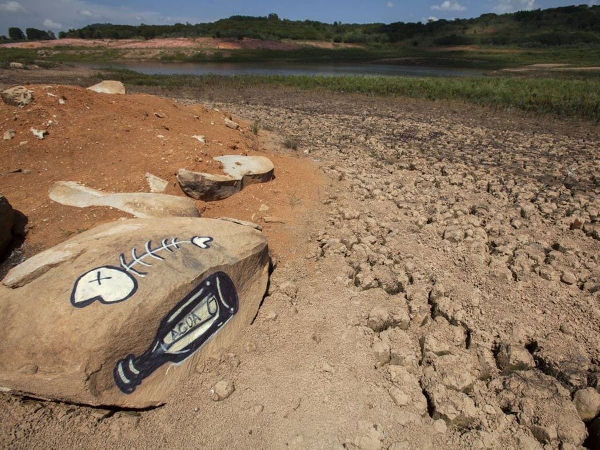 Brazil water shortage Sao Paulo devastated by its worst drought on
