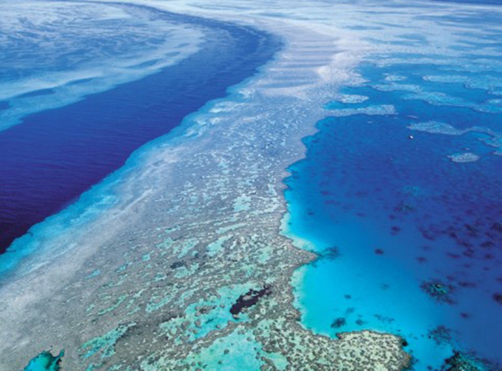 Australia bans waste dumping near Great Barrier Reef after Unesco ...