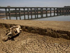 Brazil drought: It's a really dry January in the South American