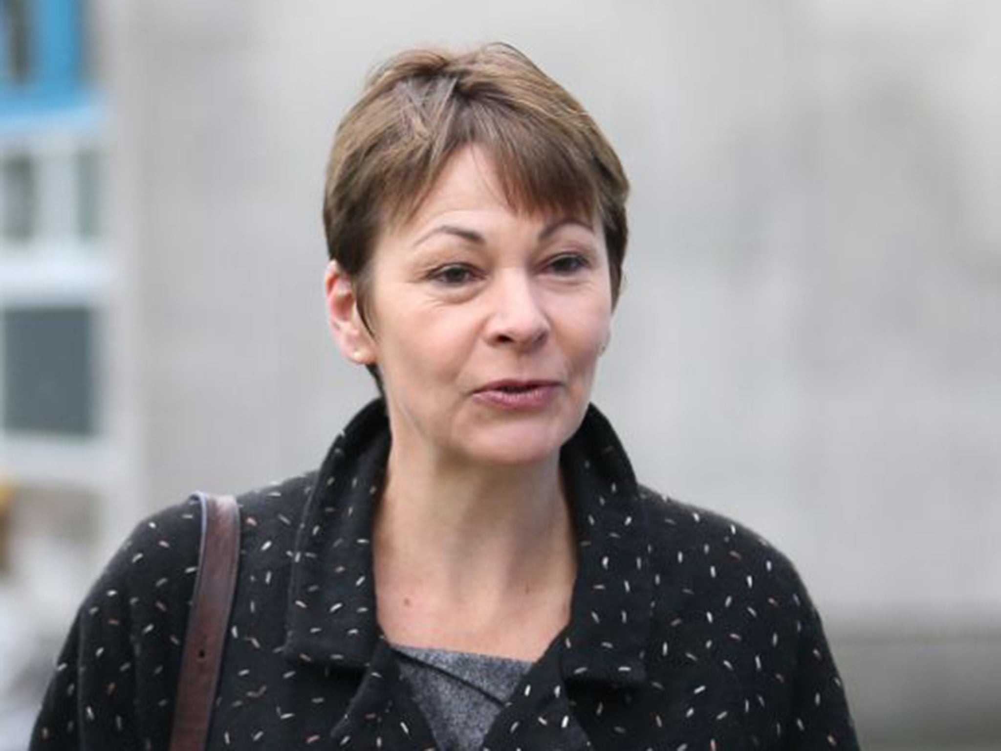 Caroline Lucas' Brighton Pavilion constituency is another marginal