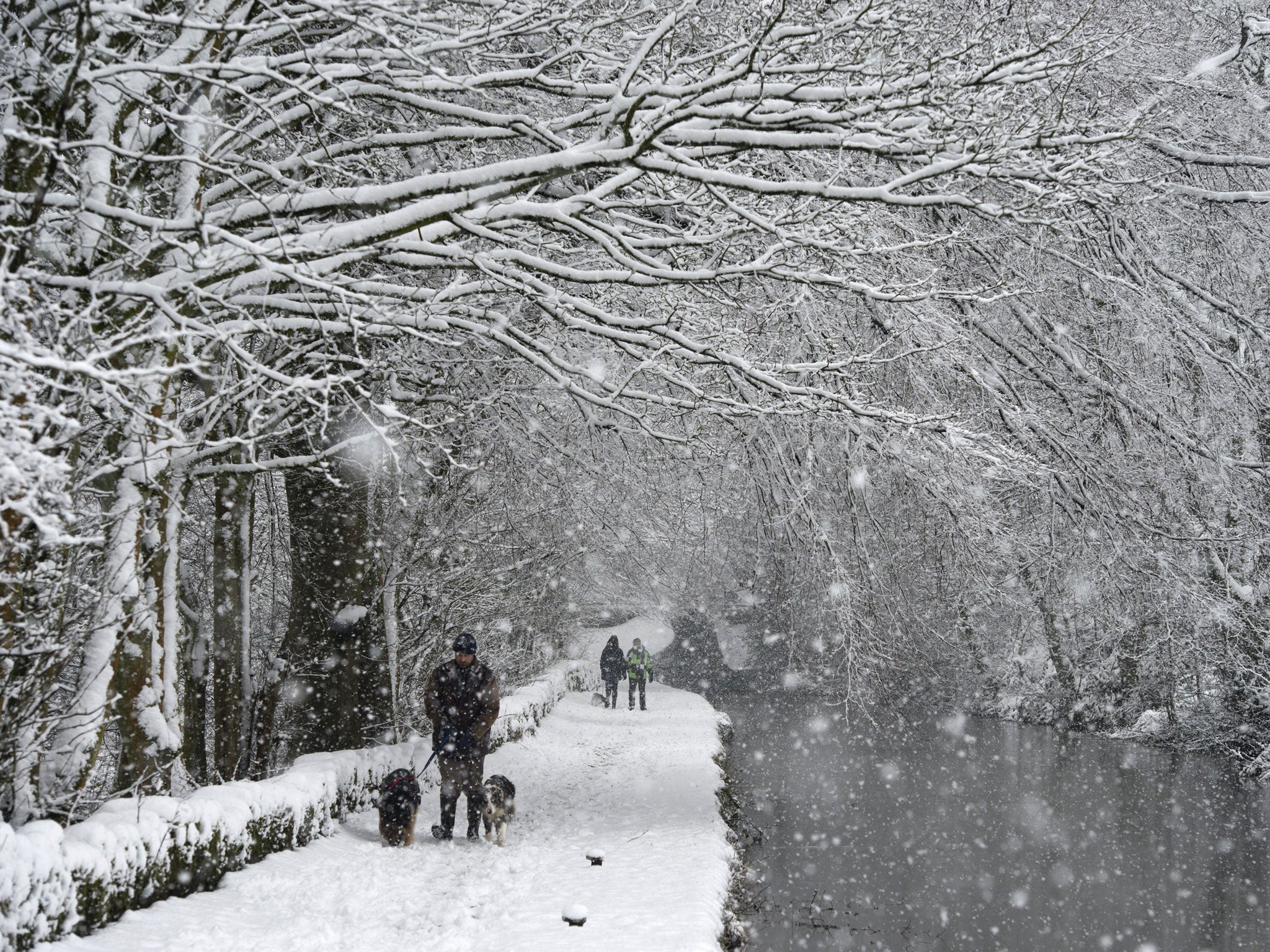 A man walks his dogs along the snow-covered towpath of the Huddersfield Narrow Canal in the village of Marsden, northern England, on January 21, 2015, during heavy snowfall. A Met Office warning of snow is in place Wednesday for the west coast of Scotland