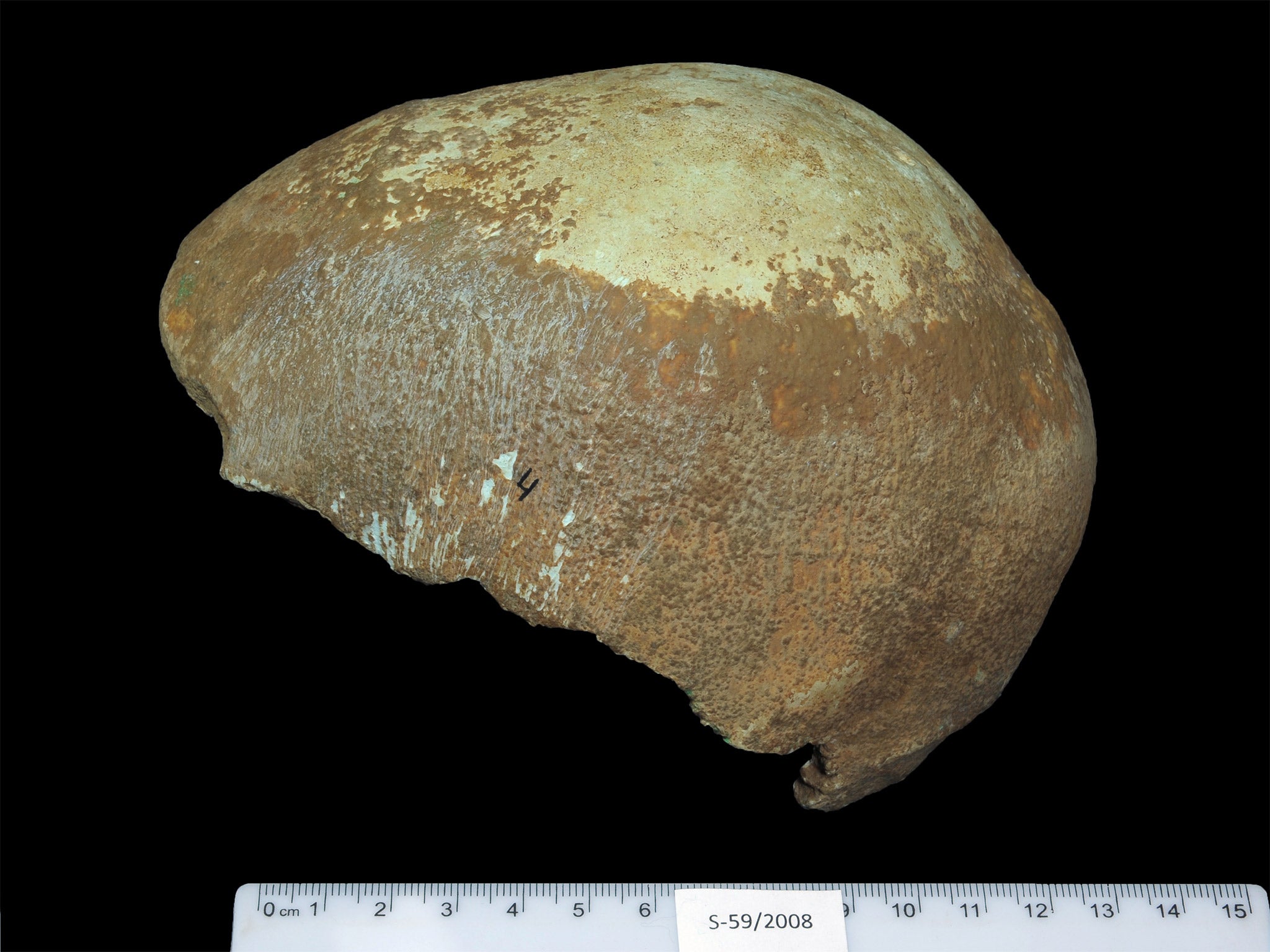 The 55,000-year-old skull was found in cave in northern Israel