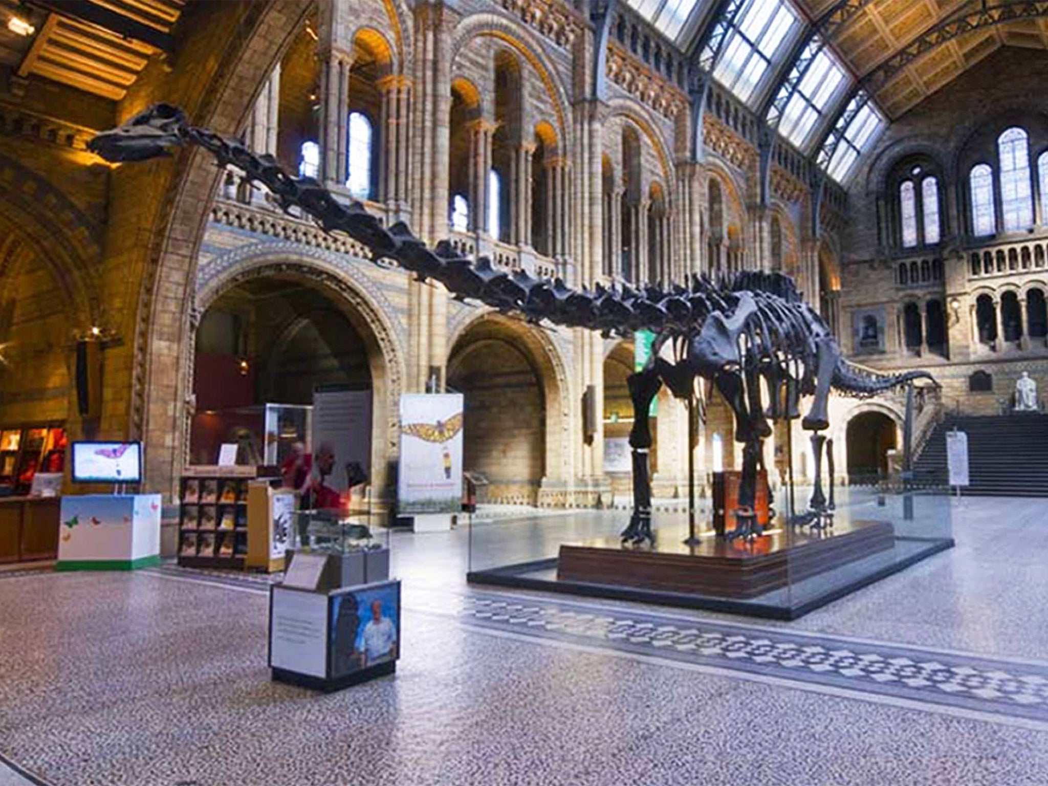 The plaster dinosaur skeleton has inspired generations of schoolchildren at the London museum for 109 years (Natural History Museum/PA)