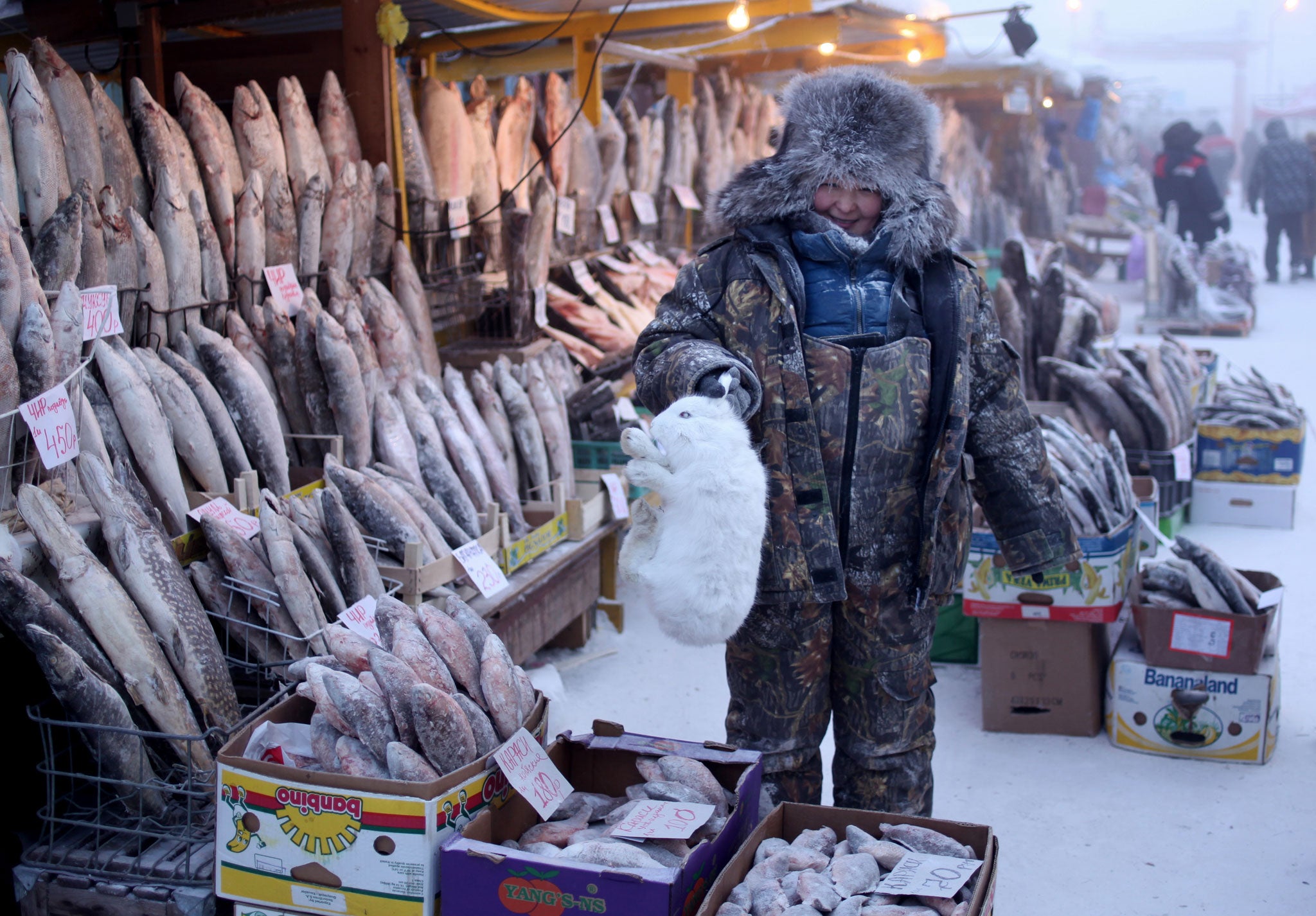A fishmonger holds up a frozen hare for Chapple to photograph