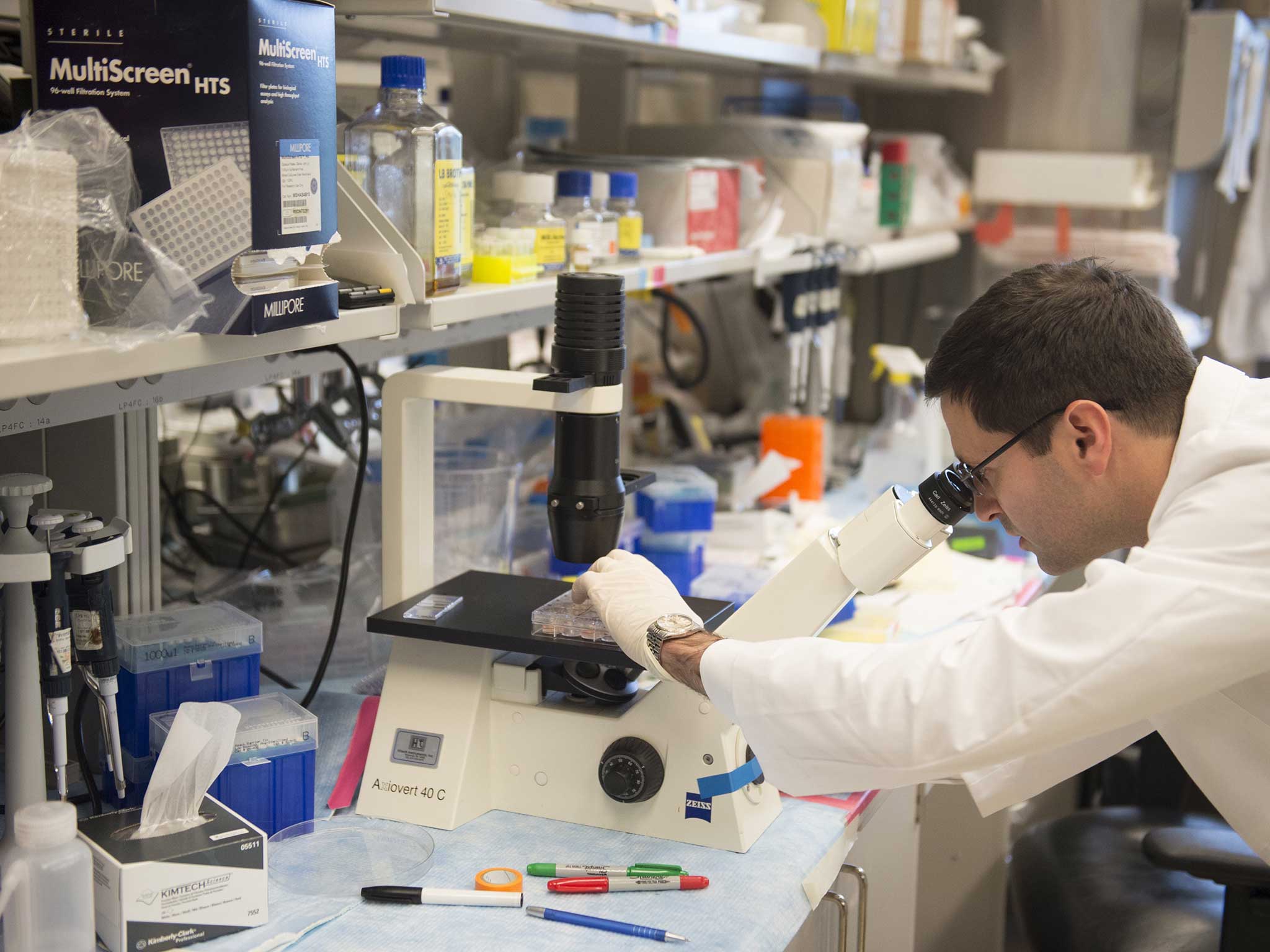 A scientist works in his lab: Could antibiotics offer a cure for cancer? (stock photo)