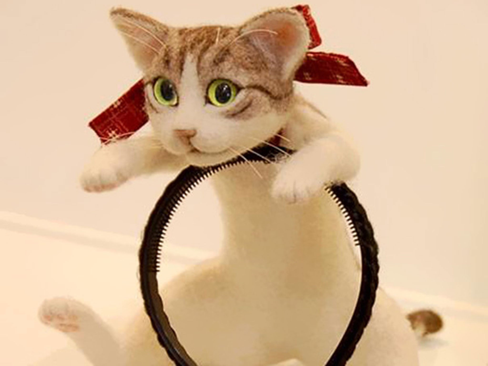 The ultimate cat hair accessory