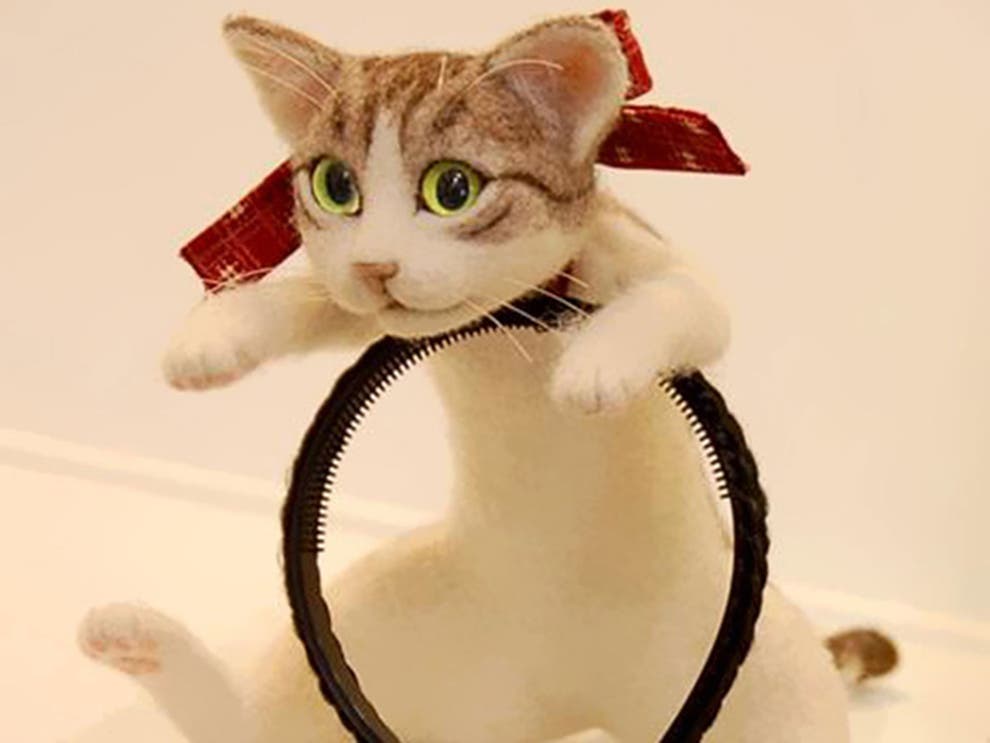 The ultimate hair accessory: a life-size cat straddling your head | The