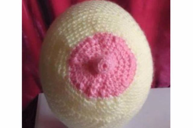People have been knitting and buying 'booby cakes' in support of breast cancer sufferer