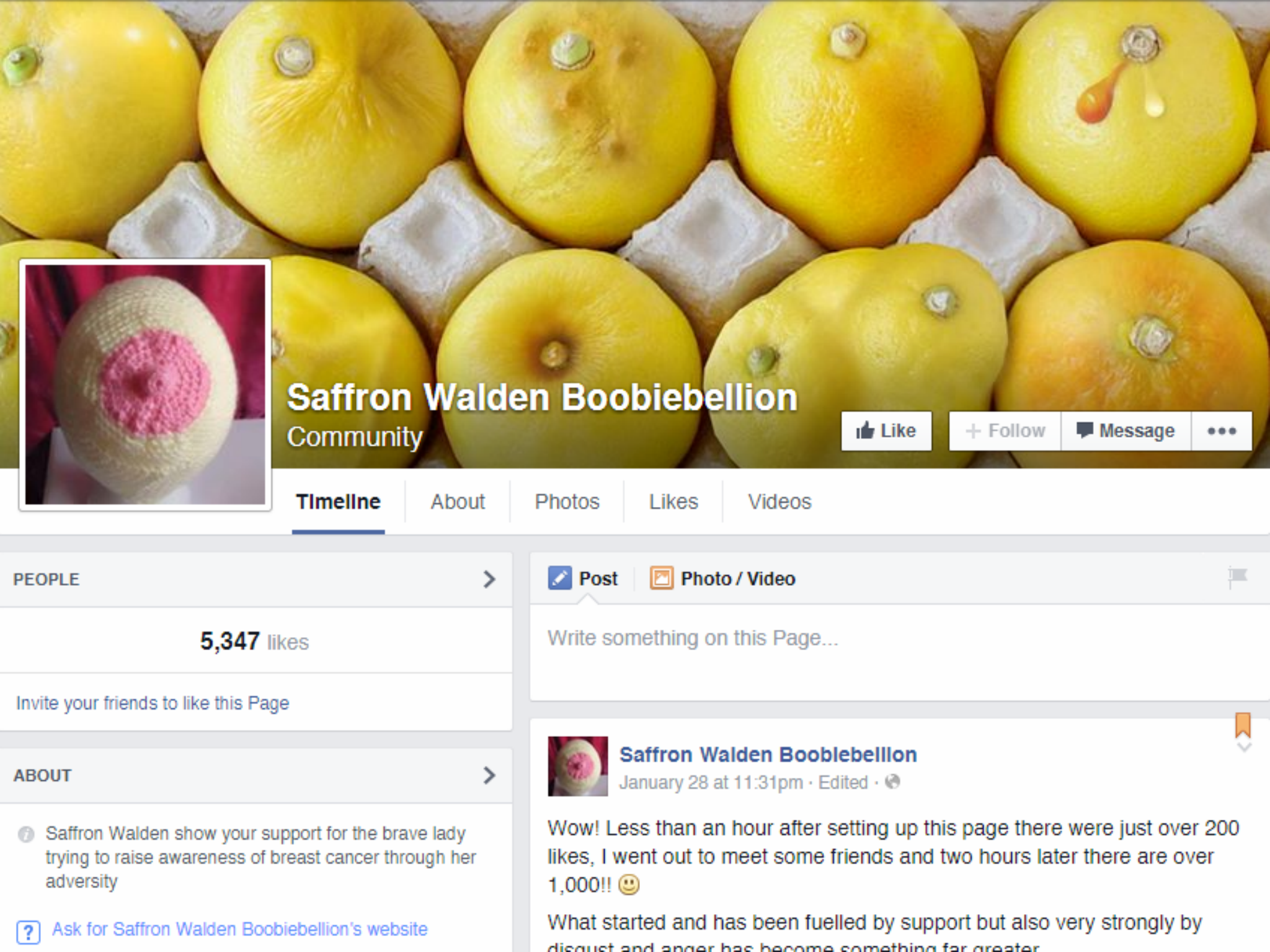 The Saffron Waldon Boobiebellion Facebook has received over 5,000 likes