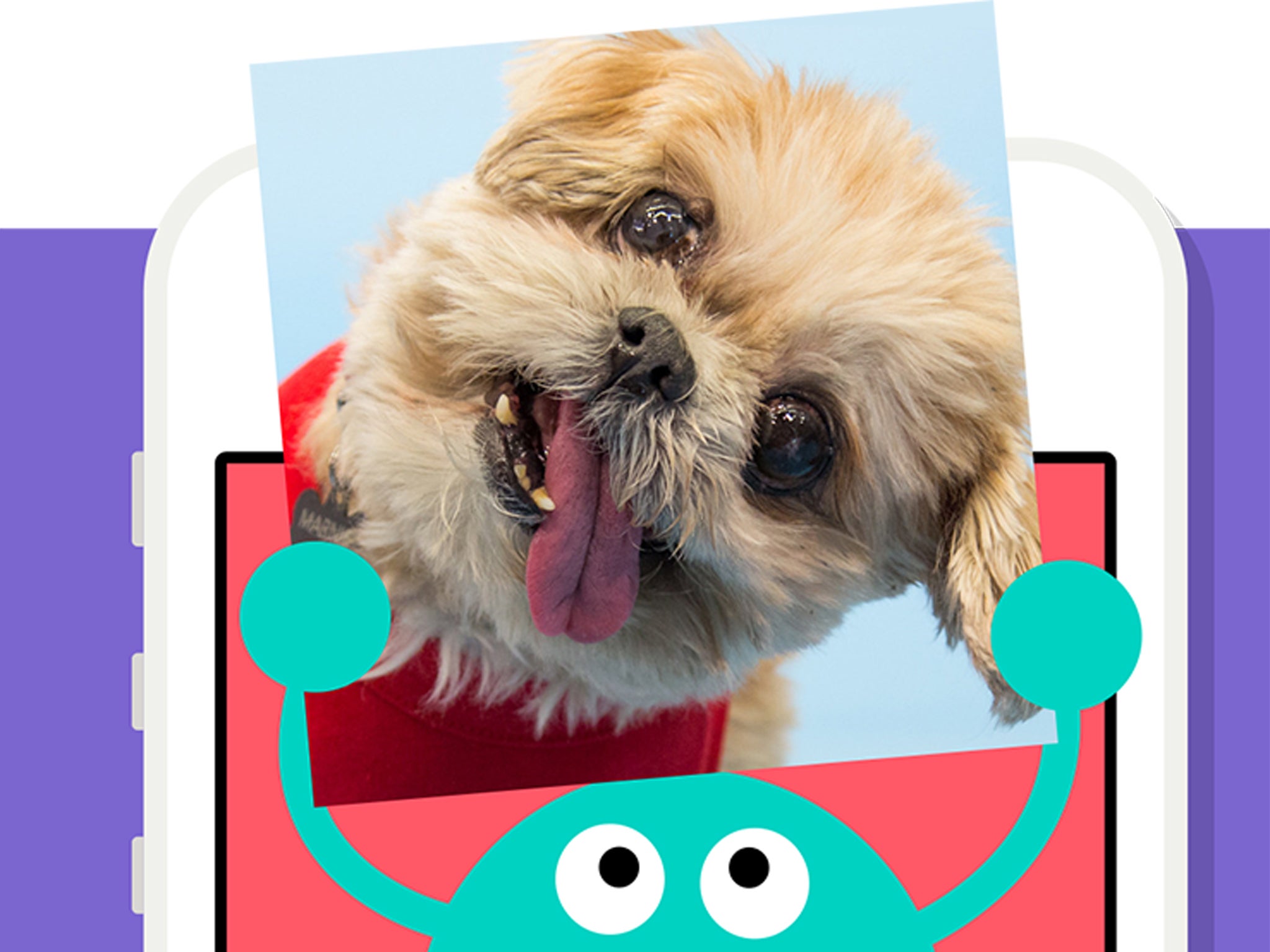 One of the characters from Vine's new app holds up a picture of online star Marnie the Dog