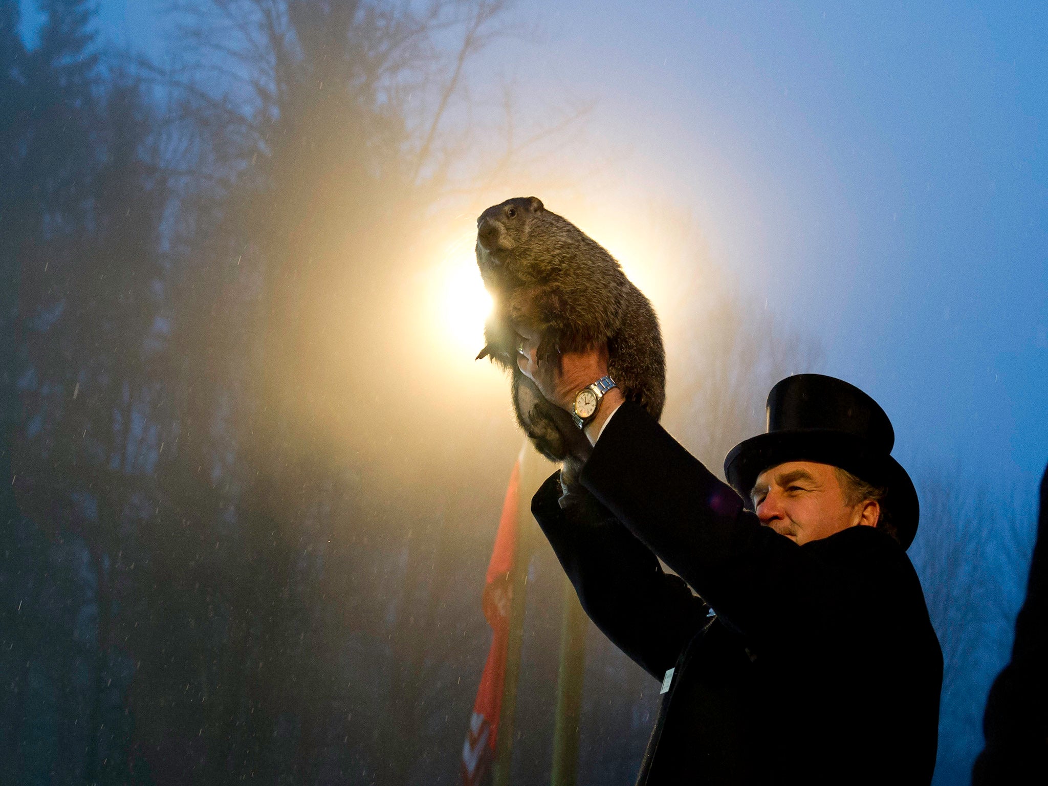 The tradition of Punxsutawney Phil has its roots in German tradition