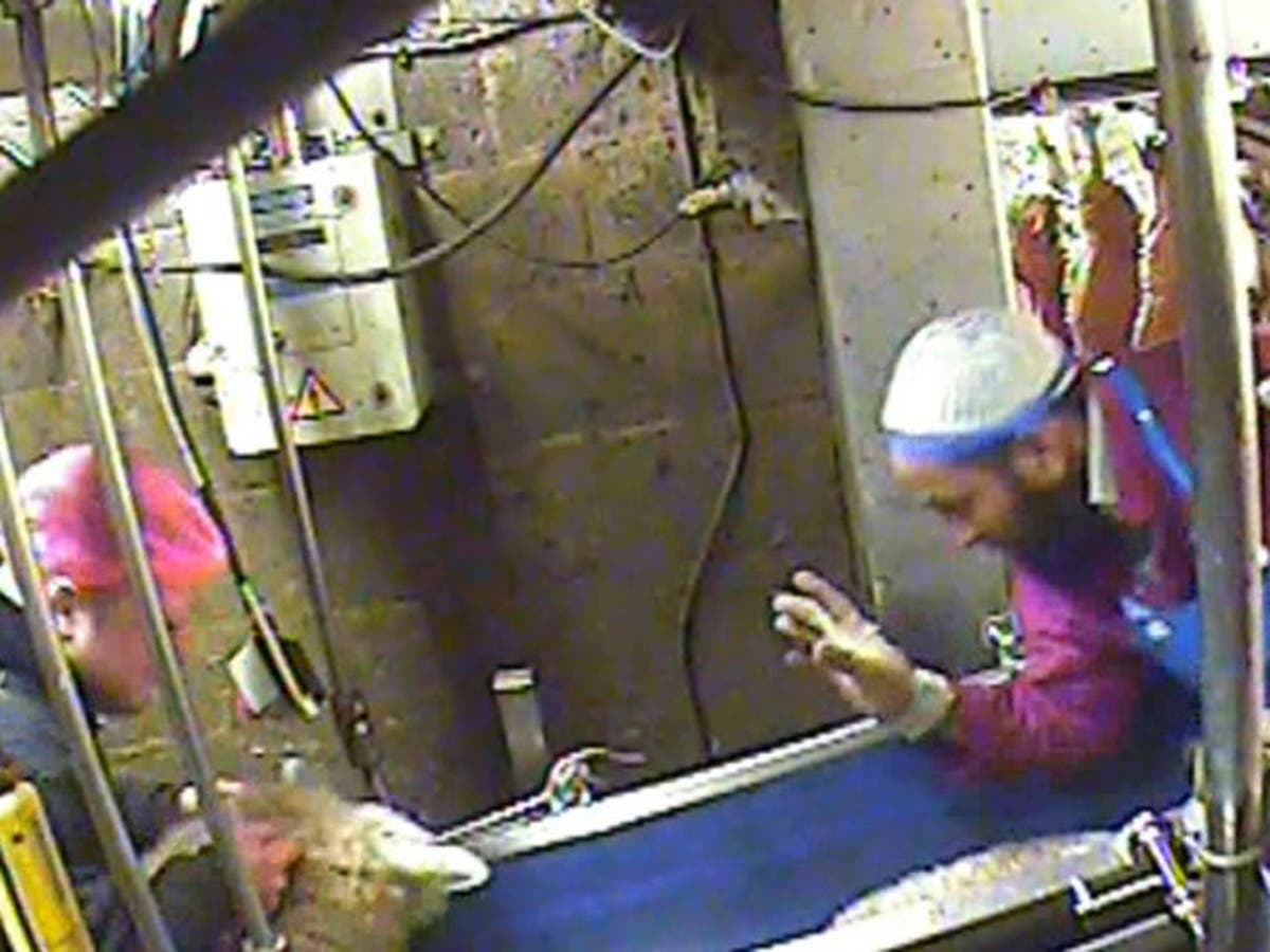 don-t-like-halal-slaughter-go-vegan-the-independent-the-independent