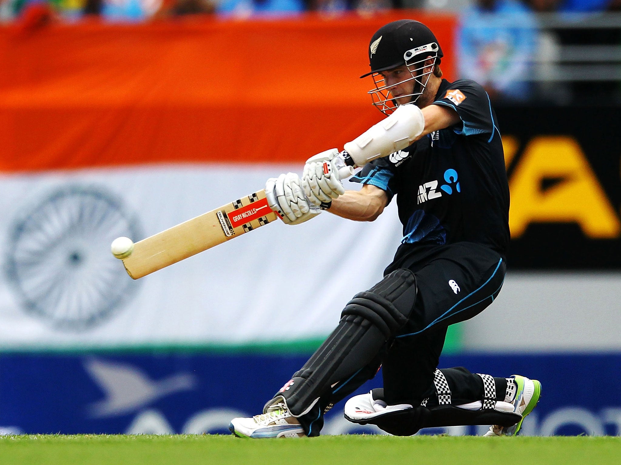 Kane Williamson is one of three big-name overseas stars signed by Yorkshire for 2015