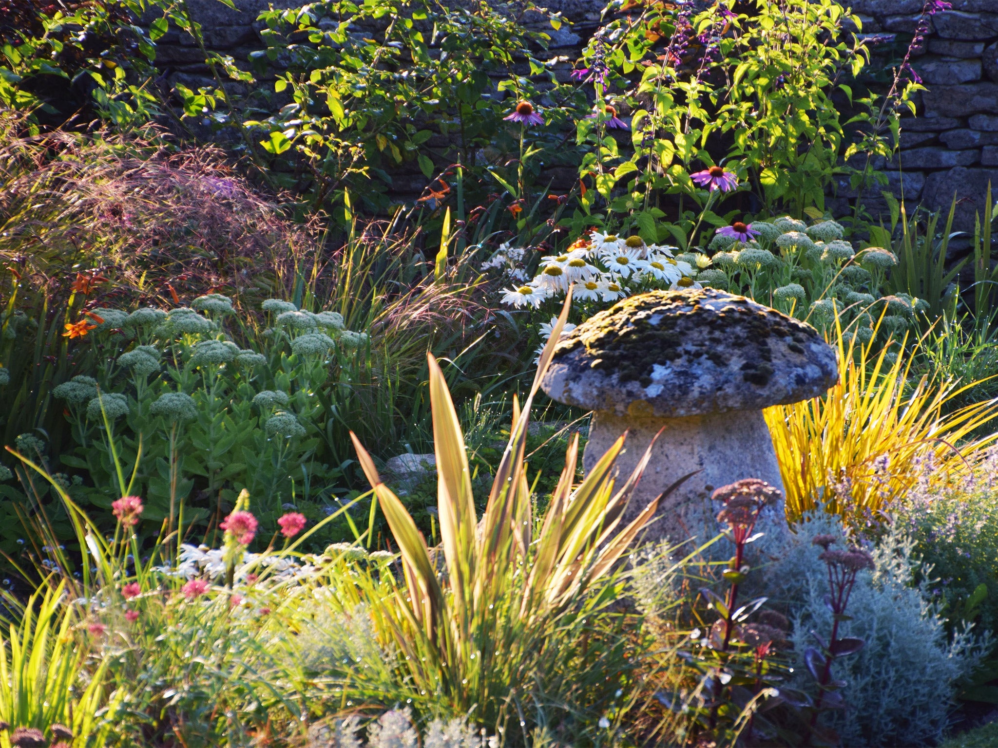 In full bloom: The author's garden in summer