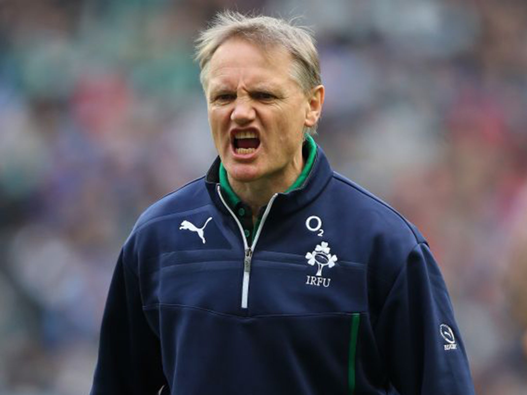 Joe Schmidt’s Ireland will be very well prepared to defend their title