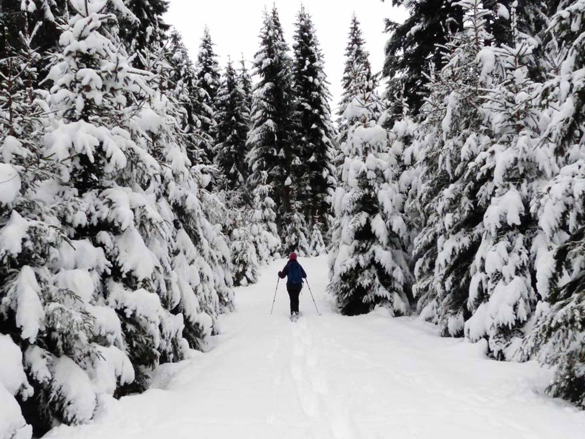 Winter wonder: snowshoeing in La Brevine can feel 'like you’re at the end of the world'