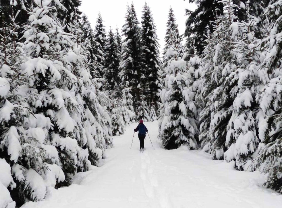 La Brévine, Switzerland: Siberia with a fairy sprinkle | The Independent | The Independent