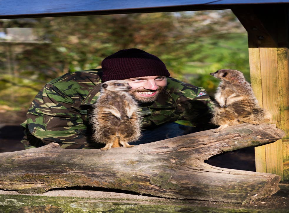 Simon Usborne meets the meerkats at Dartmoor Zoo