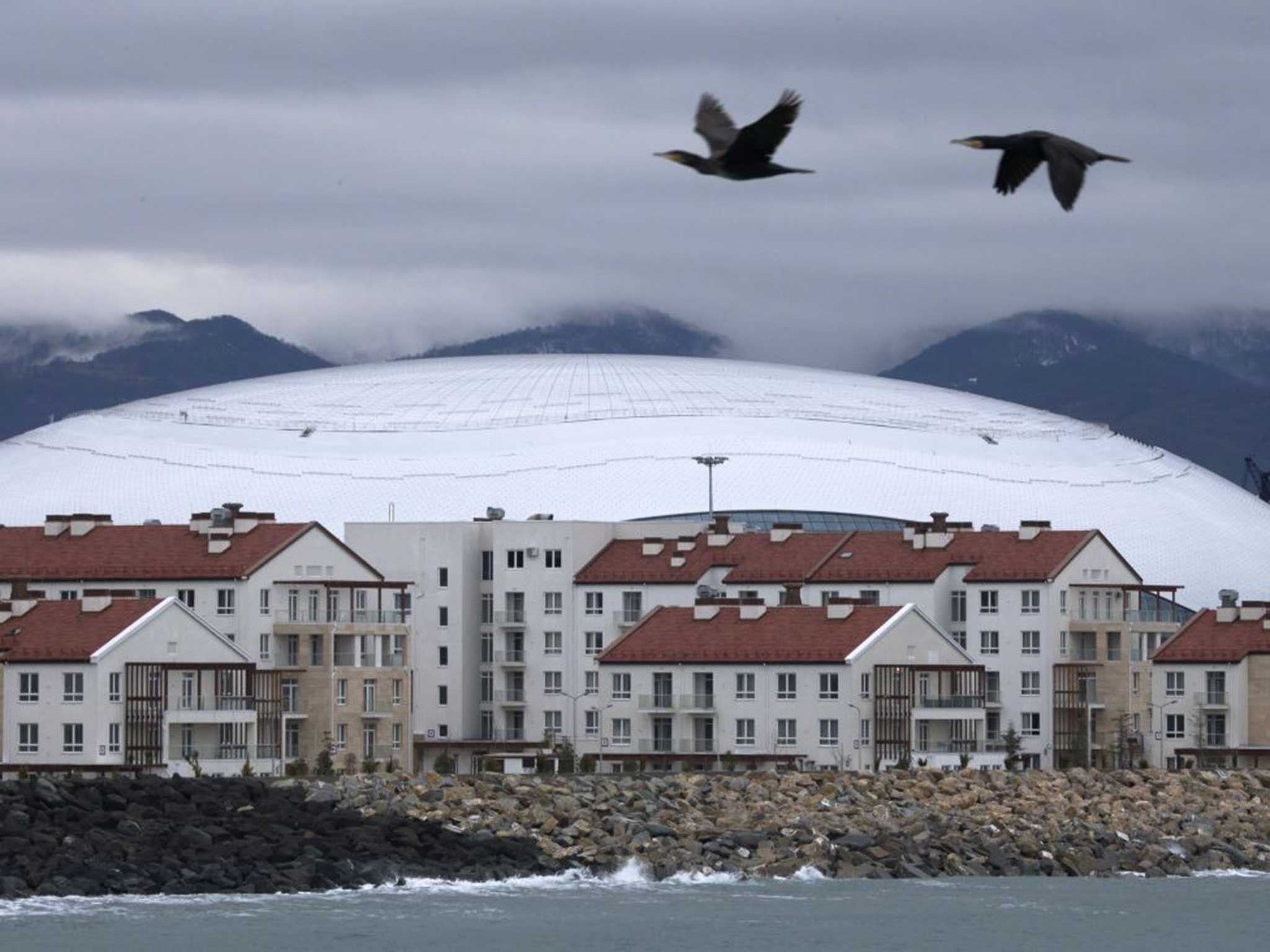 Two cormorants fly over the coast in the Black Sea resort of Sochi