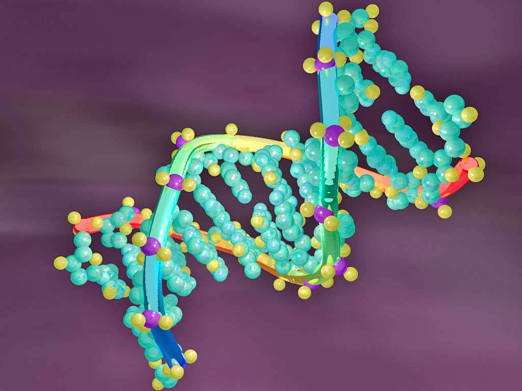 In 2006 Spanish officials ran Mark Dixie’s DNA profile through their national database and came up with a match (