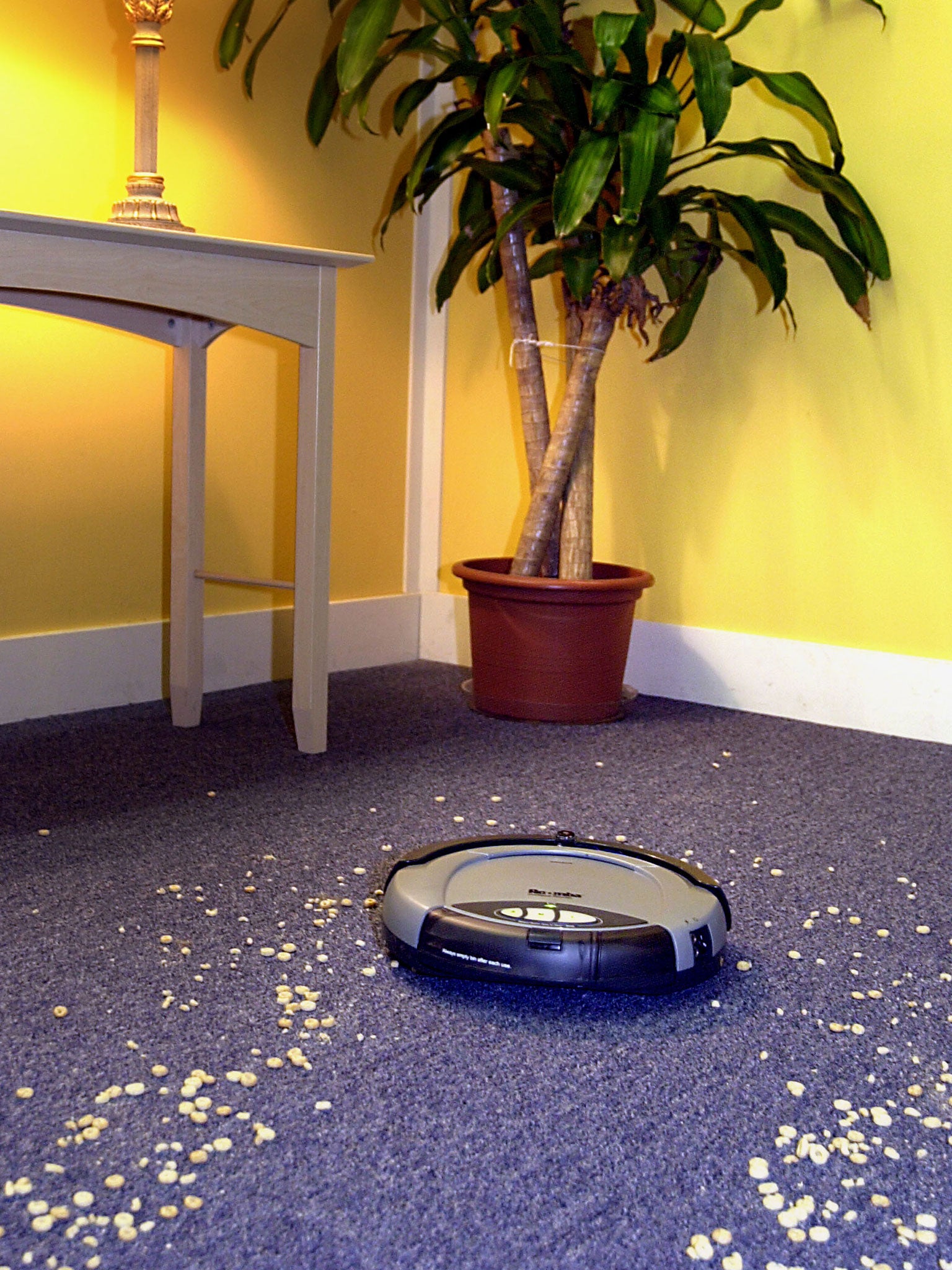 The unnamed woman, 52, was left in agony after the robot vacuum cleaner mistook her hair for dust.