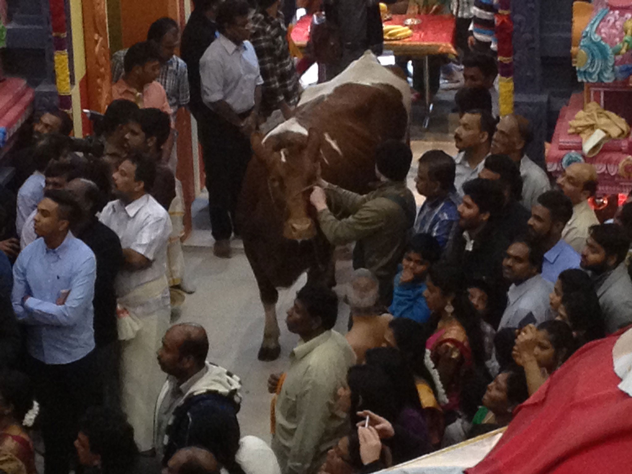 The opening of the Hindu temple at the Haus der Religionen, in Bern