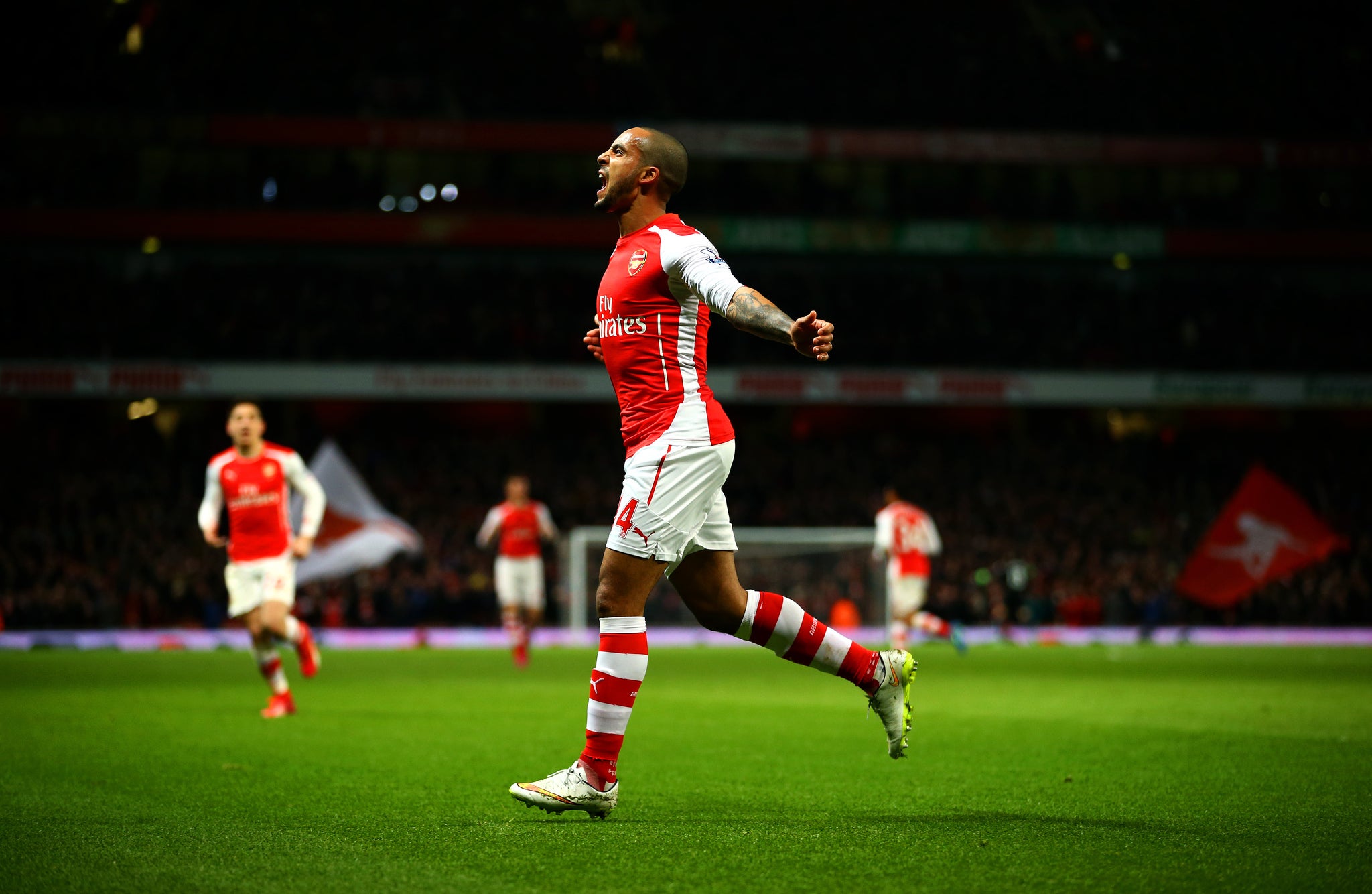 Theo Walcott celebrates his goal for Arsenal