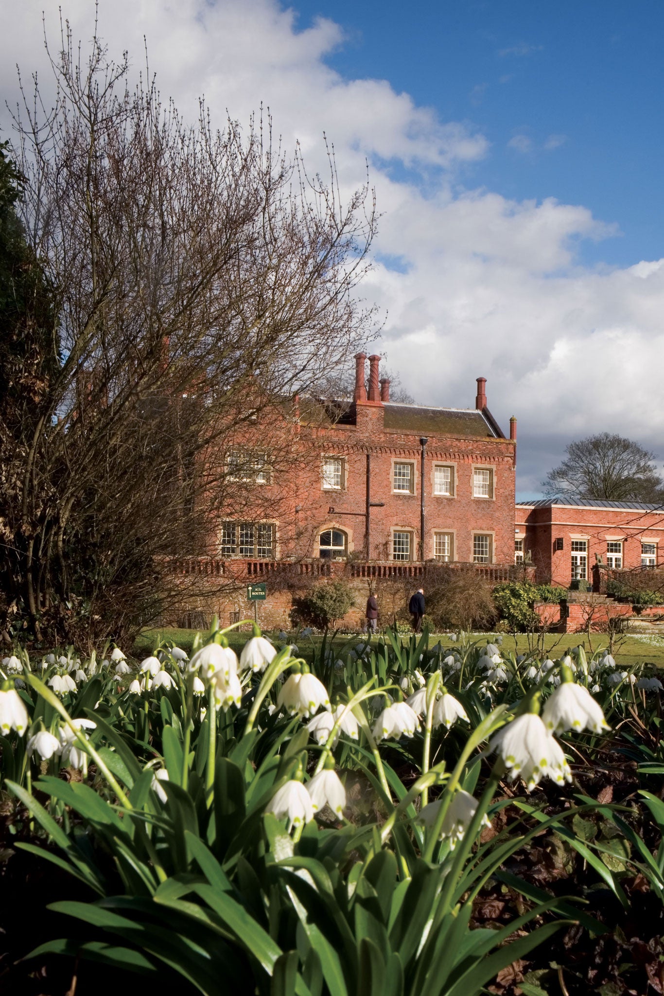 In full bloom: The snowdrops at Hodsock Priory